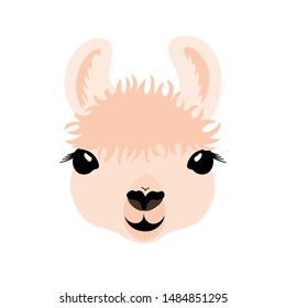 Cute lama's face vector illustration