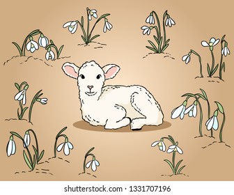 Cute lamb among the snowdrops hand drawn colorful illustration