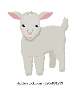 Cute lamb character isolated on white background. Childish vector flat illustration with farm animal for kids