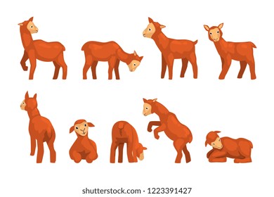 Cute lamb character set, funny farm animals with different emotions and poses vector Illustrations on a white background