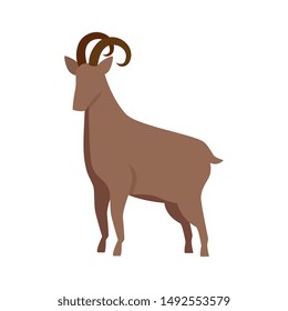 cute lamb farm animal icon