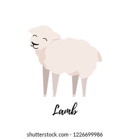 Cute lamb flat isolated. Domestic sheep kid vector illustration