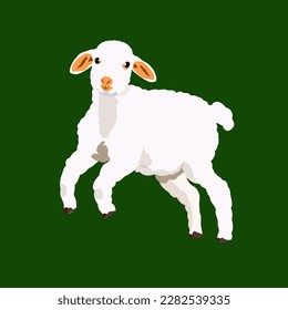 cute lamb jump Vector Art And Illustration by Kibo Studio