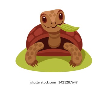 cute  land turtle in FAS holding a green leaf in his mouth