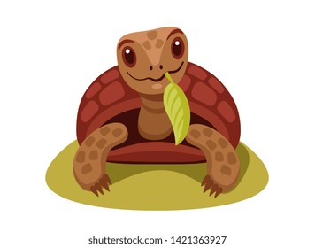 cute  land turtle in FAS holding a green leaf in his mouth