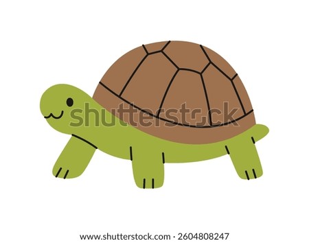 Cute land turtle on white background. Isolated tortoise. Adorable pet, exotic animal in simple style. Domestic or wild reptile character. Zoo, wild nature. Vector flat illustration
