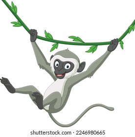 Cute langur monkey cartoon hanging