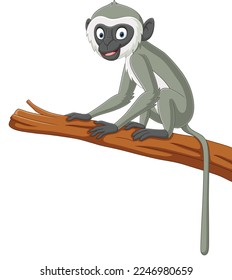 Cute langur monkey cartoon on tree branch