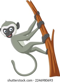 Cute langur monkey cartoon on tree branch