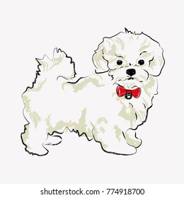Cute lap dog  illustration with bow. Abstract vector dog.