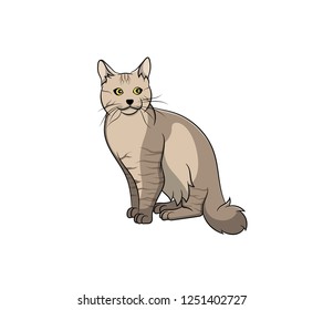 Cute LaPerm Cartoon Cat. Vector illustration of purebred laPerm cat.
