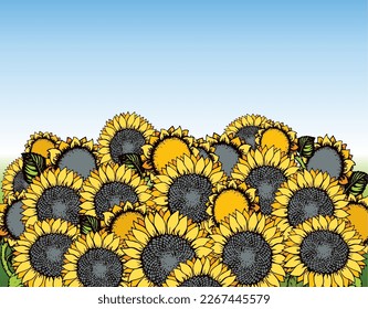 Cute large golden oil helianthus head isolated on blue heaven scenery backdrop. Bright gold color hand drawn eco image sign icon in modern art cartoon style on space for text. Scenic old village view