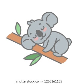 Cute lazy baby koala sleeping on a branch. Vector illustration of animal of Australia isolated on white background. 