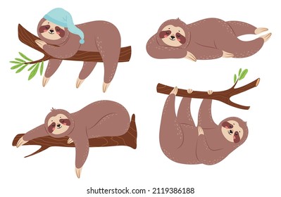 Cute lazy cloth. Sleepy cartoon characters hanging on branch. Funny animals in different poses. Lovely rainforest mammal climbing tree, relaxing on plant in sleeping hat isolated vector set