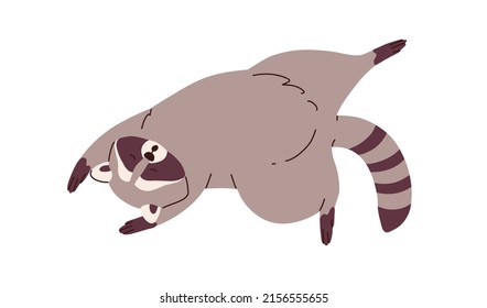 Cute lazy raccoon sleeping, relaxing. Sleepy racoon lying in funny pose. Amusing animal asleep. Lovely sweet character dreaming, lounging. Flat vector illustration isolated on white background