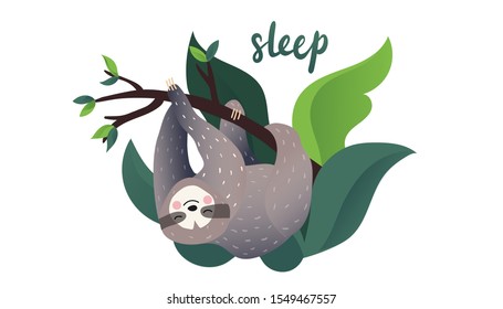 Cute lazy sloth sleeping on a branch of the tropical tree. Sleep type lettering. Vector calligraphy. Cartoon style, vector illustration. Slow down quote lettering.