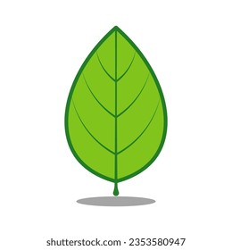 Cute Leaf Cartoon Vector Illustration
