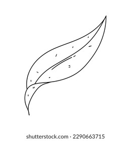 Cute leaf in hand drawn doodle style. Vector illustration isolated on white background. Botanical plant element. Coloring book.