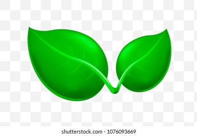Cute Leaf Icon on Transparent Background . Isolated Vector Illustration 