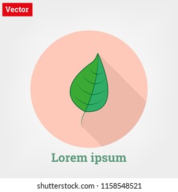cute leaf icon vector illustrator