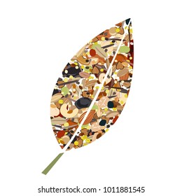 Cute leaf shape logo from nuts, dried fuits, grains and cereals. Unusual design for eco food shop or green store. Vector