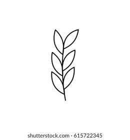 cute leafs decorative icon