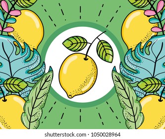 Cute lemons summers cartoons