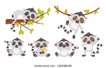 Cute Lemur Cartoon Character Collection, Sweet Exotic Animal in Different Situations Vector Illustration