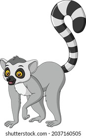 Cute Lemur cartoon vector illustration