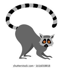 Cute lemur crouching to the ground. Cartoon Madagascar animal isolated on white background. Flat vector illustration.