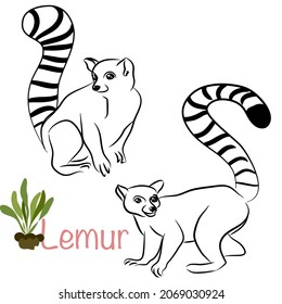 Cute Lemur doodle collection in different poses in free hand drawing vector illustration style.