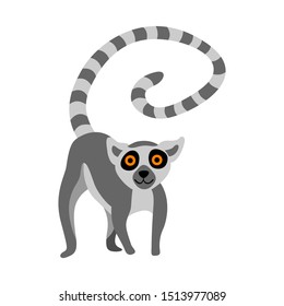 Cute Lemur Isolated On White Background. Flat Vector Illustration.