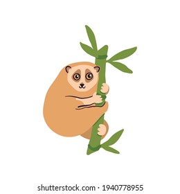 Cute Lemur Lory on the bamboo branch. Beautiful animal print design. Vector illustration isolated on a white background. 