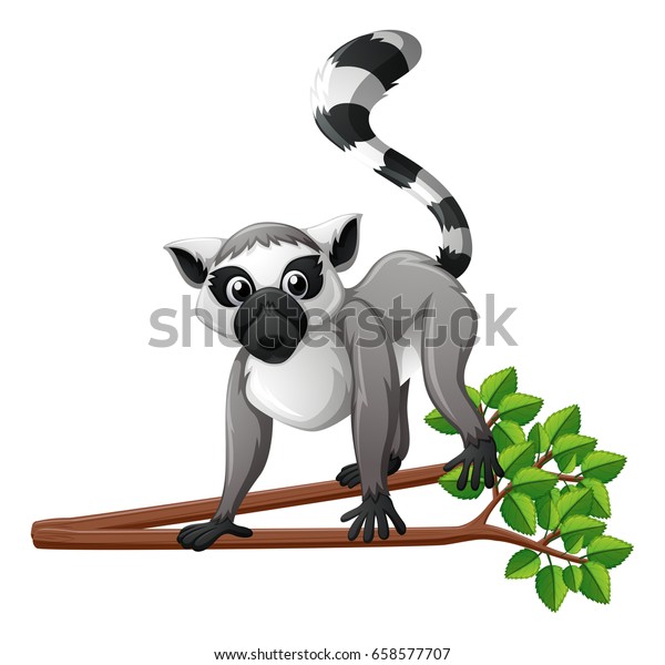 Cute Lemur On Branch Illustration Stock Vector (Royalty Free) 658577707 ...