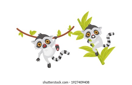 Cute Lemur as Primate with Long Striped Tail Swinging on Liana Vector Set