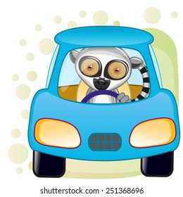 Cute Lemur is sitting in a car 