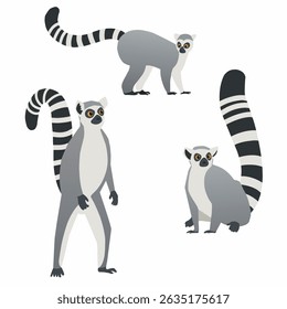 Cute lemurs in several vector sets. Interesting designs for your projects.