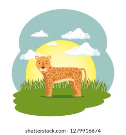 cute leopard in the field scene