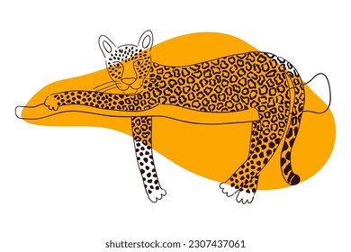 Cute leopard laying down hand drawn cartoon character illustration, sketch. Line art, drawing style design, isolated vector. Tropical animal, jungle wildlife, big cats, safari, nature, print element