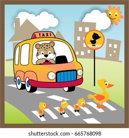 Cute leopard on car, duck family crossing road in city, vector cartoon illustration