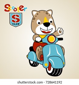 cute leopard riding scooter, vector cartoon illustration