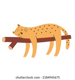 Cute leopard sleeping on a tree branch, lying wildcat illustration, spotted jaguar, safari animal, tropical feline drawing, vector art in scandinavian style isolated on white background