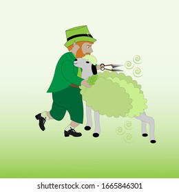 Cute Leprechaun with special scissors is cutting his green sheep. St. Patrick's Day greeting card.