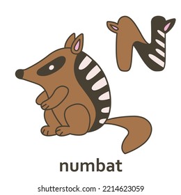 Cute letter n numbat  Creative alphabet abc for kids and ears  Animal to z concept cover book  Colorful letter hamster  Vector cartoon illustration doodle  School reading typography font