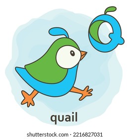 Cute letter Q quail bird  Creative alphabet abc for kids and ears  
Animal to z concept cover book  Colorful watercor lletter and ear's  
Vector cartoon illustration doodle  School reading font