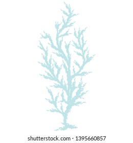 Cute light blue algae seaweed cartoon vector illustration motif set. Hand drawn isolated coral reef elements clipart for nautical oceanology blog, plant graphic, undersea web buttons.