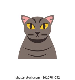 Cute light brown cat cartoon design, Animal pet kitten domestic feline kitty mammal beautiful and portrait theme Vector illustration