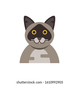 Cute light brown cat cartoon design, Animal pet kitten domestic feline kitty mammal beautiful and portrait theme Vector illustration