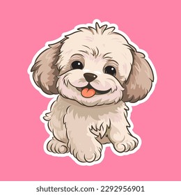 Cute light maltipoo (Maltese poodle) in full growth smiles.