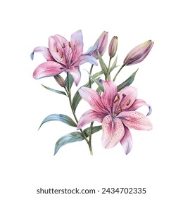 cute lily vector illustration in watercolour style